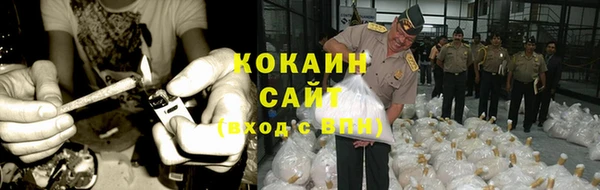 сатива Дмитровск