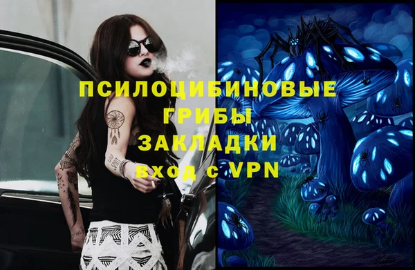 ПСИЛОЦИБИНОВЫЕ ГРИБЫ Дмитров