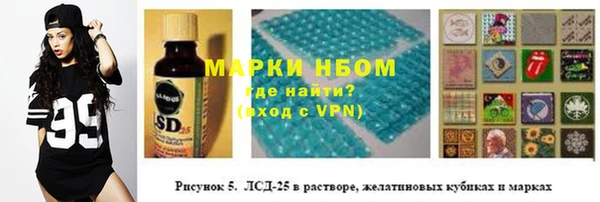 сатива Дмитровск