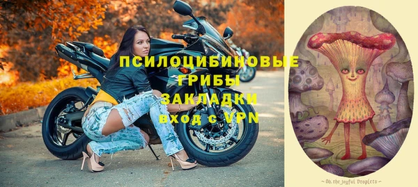 ПСИЛОЦИБИНОВЫЕ ГРИБЫ Дмитров