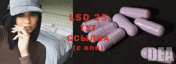 сатива Дмитровск