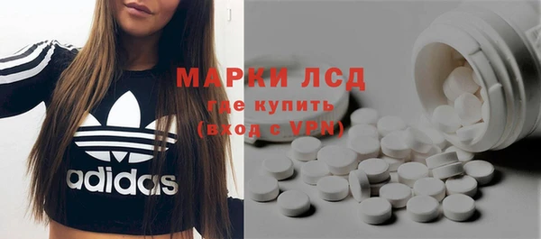 сатива Дмитровск