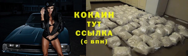 ПСИЛОЦИБИНОВЫЕ ГРИБЫ Дмитров