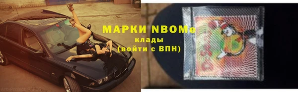 сатива Дмитровск