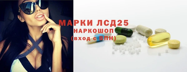 сатива Дмитровск