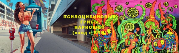 ПСИЛОЦИБИНОВЫЕ ГРИБЫ Дмитров