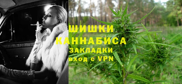 ПСИЛОЦИБИНОВЫЕ ГРИБЫ Дмитров