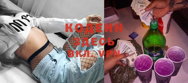 крисы Ельня