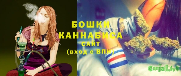 ПСИЛОЦИБИНОВЫЕ ГРИБЫ Дмитров
