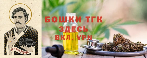 сатива Дмитровск
