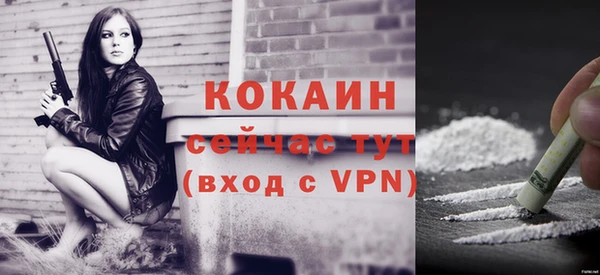 сатива Дмитровск